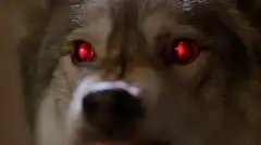 Секретные материалы 6 сезон 16 серия