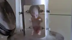 Секретные материалы 1 сезон 24 серия