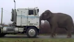 Секретные материалы 2 сезон 18 серия