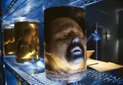 Секретные материалы 8 сезон 20 серия