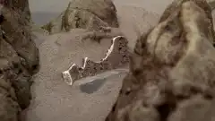 Секретные материалы 6 сезон 22 серия