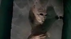 Секретные материалы 4 сезон 24 серия