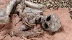 Секретные материалы 2 сезон 25 серия